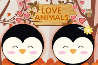 Love Animals img